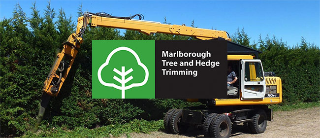 Marlborough Tree and Hedge Trimming