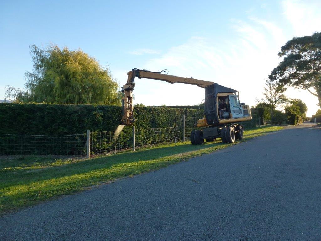 Blenheim Hedge Trimming